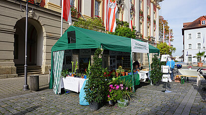 Pflanzentauschbörse